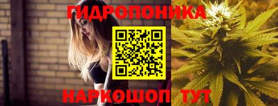 кокс Донецк