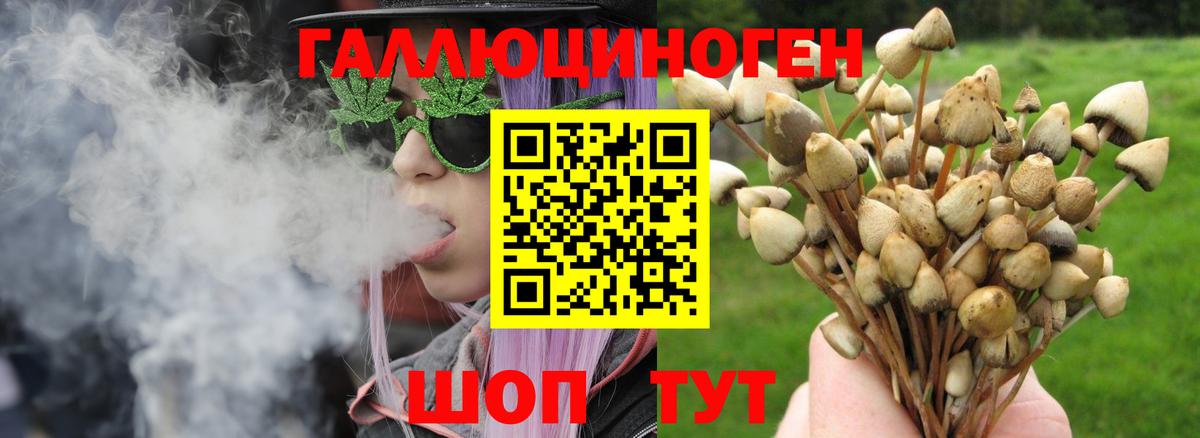 Псилоцибиновые грибы ЛСД Нефтеюганск
